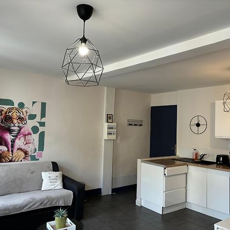 Spacieux, Climatise, Quartier Calme, Proche Chateau, Le Cocon De Joy Carcassone Exterior photo